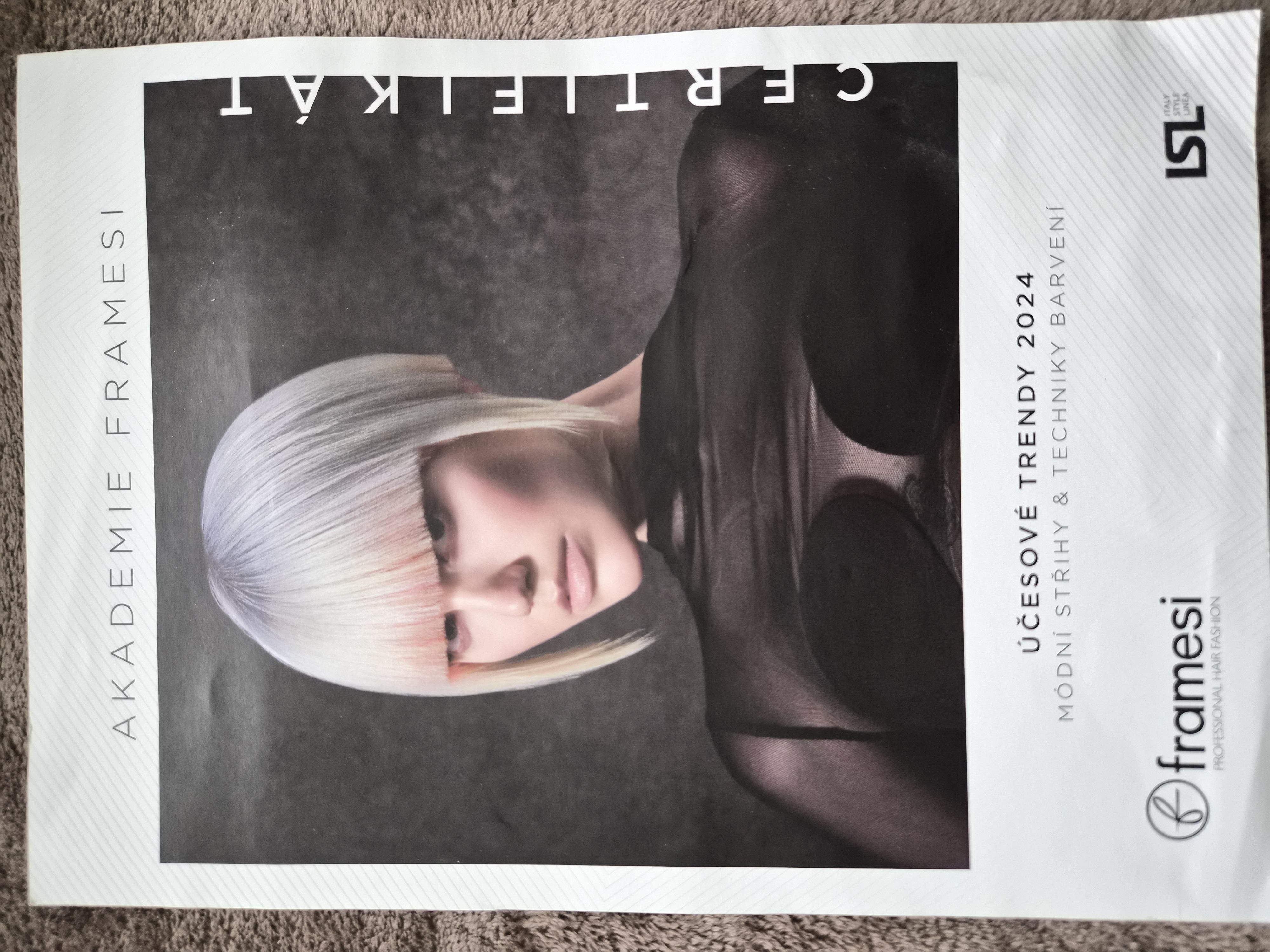 Akademie Framesi, Účesové trendy